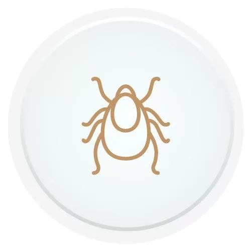 Вакцинация против клещевого энцефалита