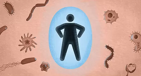 Календарь прививок для взрослых