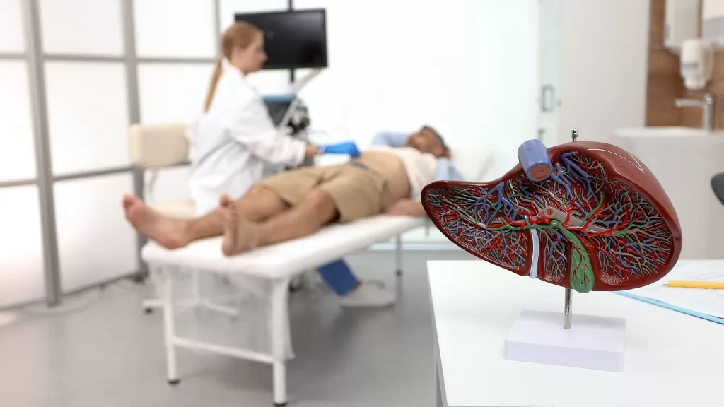 Esteatose Hepática, gordura no fígado