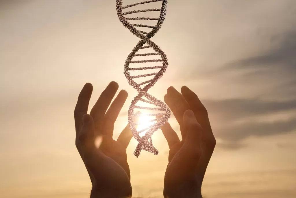 Гормональный профиль