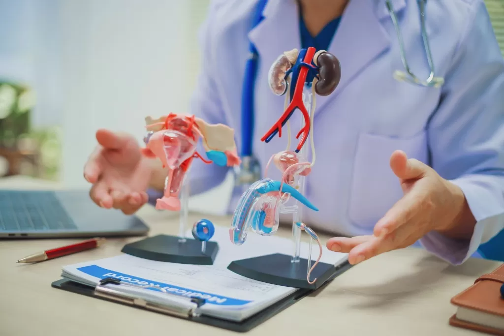 Что нужно знать родителям мальчиков?