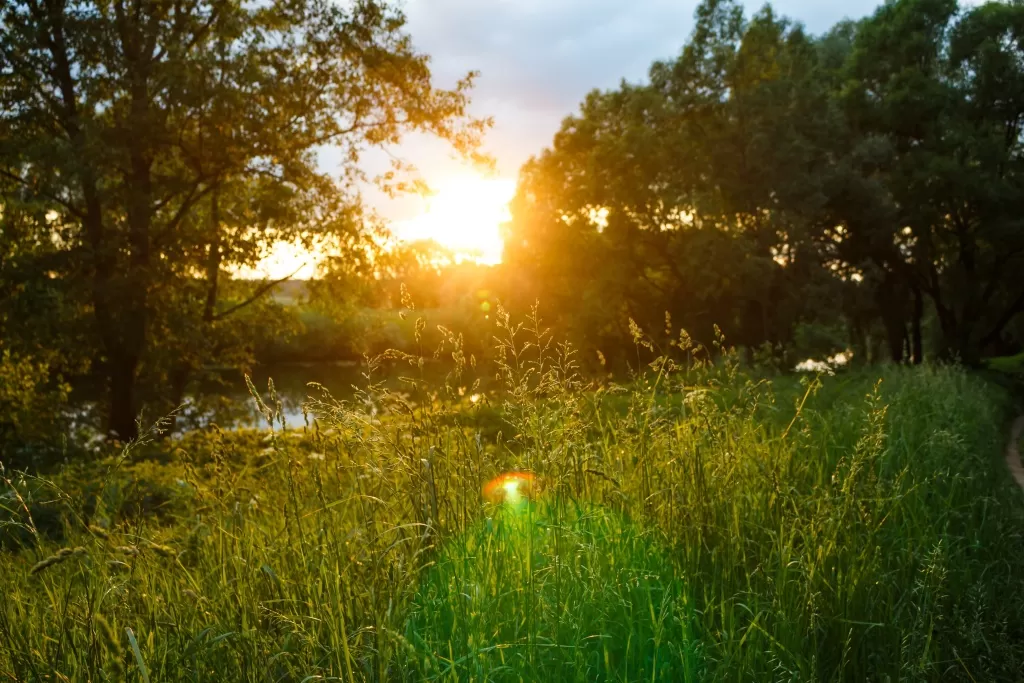 Укус клеща: правильное поведение и меры профилактики