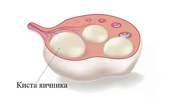 фон карточки