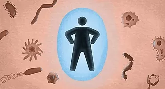 Календарь прививок для взрослых