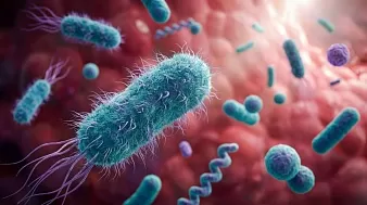 Нужно ли избавляться от условно-патогенной флоры?