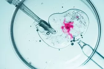 Все самое важное об ЭКО