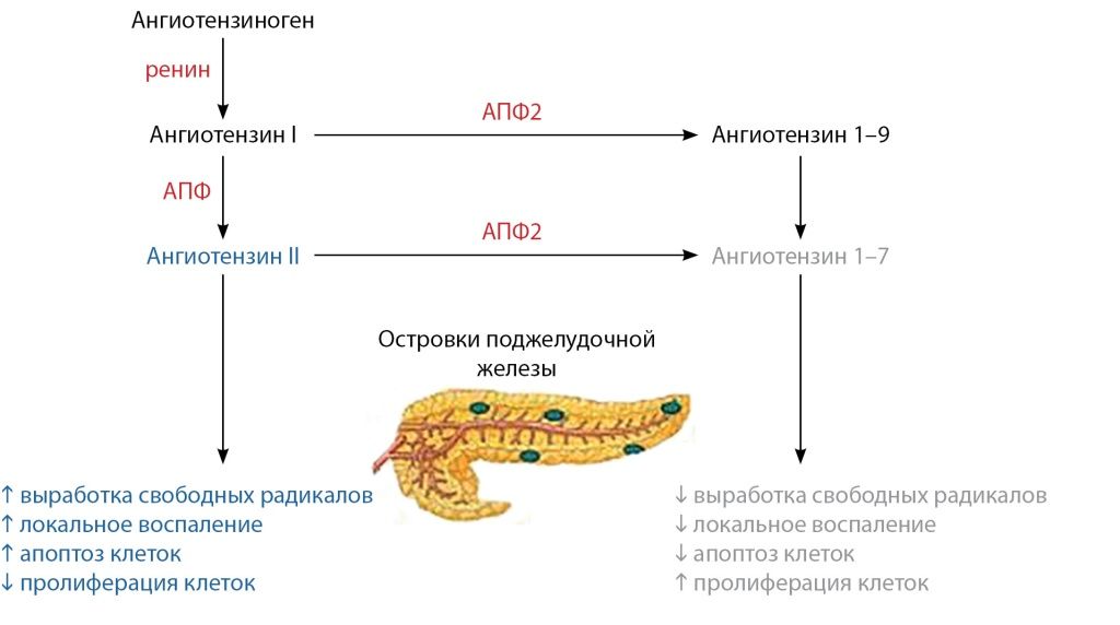 12485-33544-1-SP.jpg