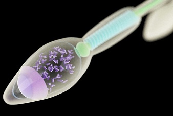 5 фактов о сперме, которые вас удивят