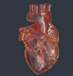 Сердечный приступ или нет? Как инфаркт маскируется под паническую атаку и другие недомогания