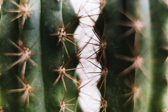 Направление экстренной и плановой хирургии в клинике GMS в Москве